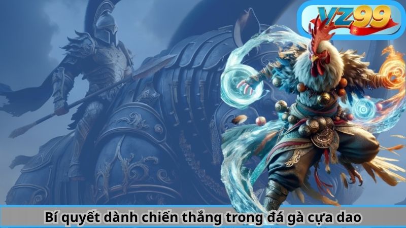 Sức Nóng Đến Từ Đá Gà Cựa Dao VZ99 3 Bí quyết dành chiến thắng trong đá gà cựa dao