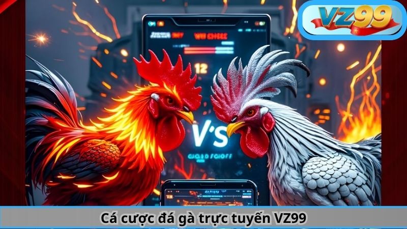 Trải Nghiệm Chơi Cá Cược Đá Gà Trực Tiếp Hấp Dẫn Tại VZ99 2 Cá cược đá gà trực tuyến VZ99