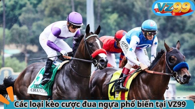 Đua ngựa VZ99 – Cá cược tốc độ đỉnh cao thời công nghệ 3 Các loại kèo cược đua ngựa phổ biến tại VZ99