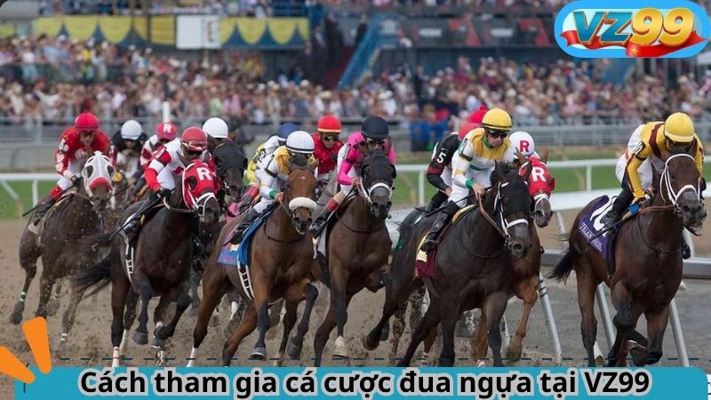 Đua ngựa VZ99 – Cá cược tốc độ đỉnh cao thời công nghệ 4 Cách tham gia cá cược đua ngựa tại VZ99