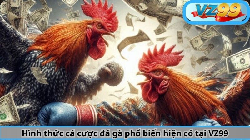 Trải Nghiệm Chơi Cá Cược Đá Gà Trực Tiếp Hấp Dẫn Tại VZ99 3 Hình thức cá cược đá gà phổ biến hiện có tại VZ99