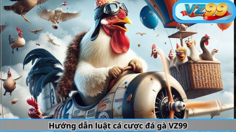Trải Nghiệm Chơi Cá Cược Đá Gà Trực Tiếp Hấp Dẫn Tại VZ99 4 Hướng dẫn luật cá cược đá gà VZ99