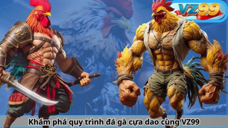 Sức Nóng Đến Từ Đá Gà Cựa Dao VZ99 2 Khám phá quy trình đá gà cựa dao cùng VZ99