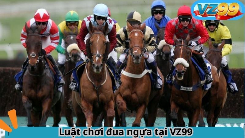 Đua ngựa VZ99 – Cá cược tốc độ đỉnh cao thời công nghệ 2 Luật chơi đua ngựa tại VZ99