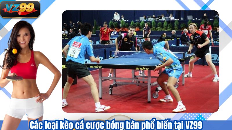 Cá Cược Bóng Bàn VZ99 - Xu Hướng Giải Trí Hót 2025 2 Các loại kèo cá cược bóng bàn phổ biến tại VZ99