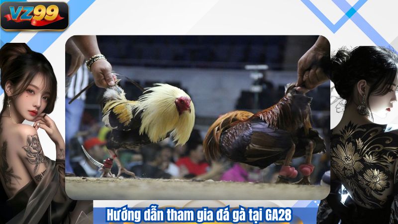GA28 – Sảnh Đá Gà Công Nghệ Cao Được Yêu Thích Tại Việt Nam 4 Hướng dẫn tham gia đá gà tại GA28