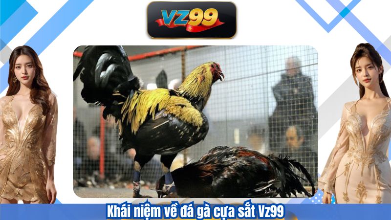 Đá Gà Cựa Sắt VZ99 – Cá Cược Cùng Những Trận Gà Kịch Tính 2 Khái niệm về đá gà cựa sắt Vz99