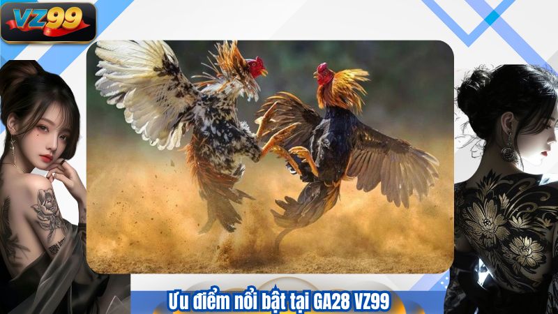 GA28 – Sảnh Đá Gà Công Nghệ Cao Được Yêu Thích Tại Việt Nam 2 Ưu điểm nổi bật tại GA28 VZ99